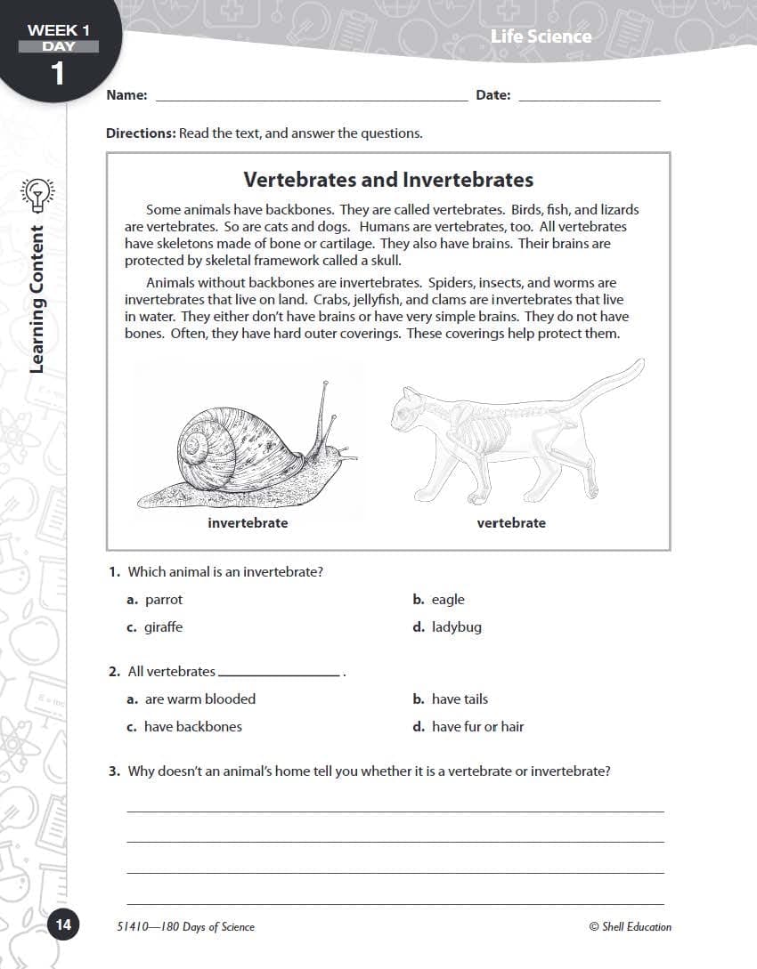 reference-img